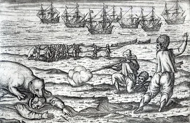 Matrosen von Eisbären angegriffen, Illustration aus 